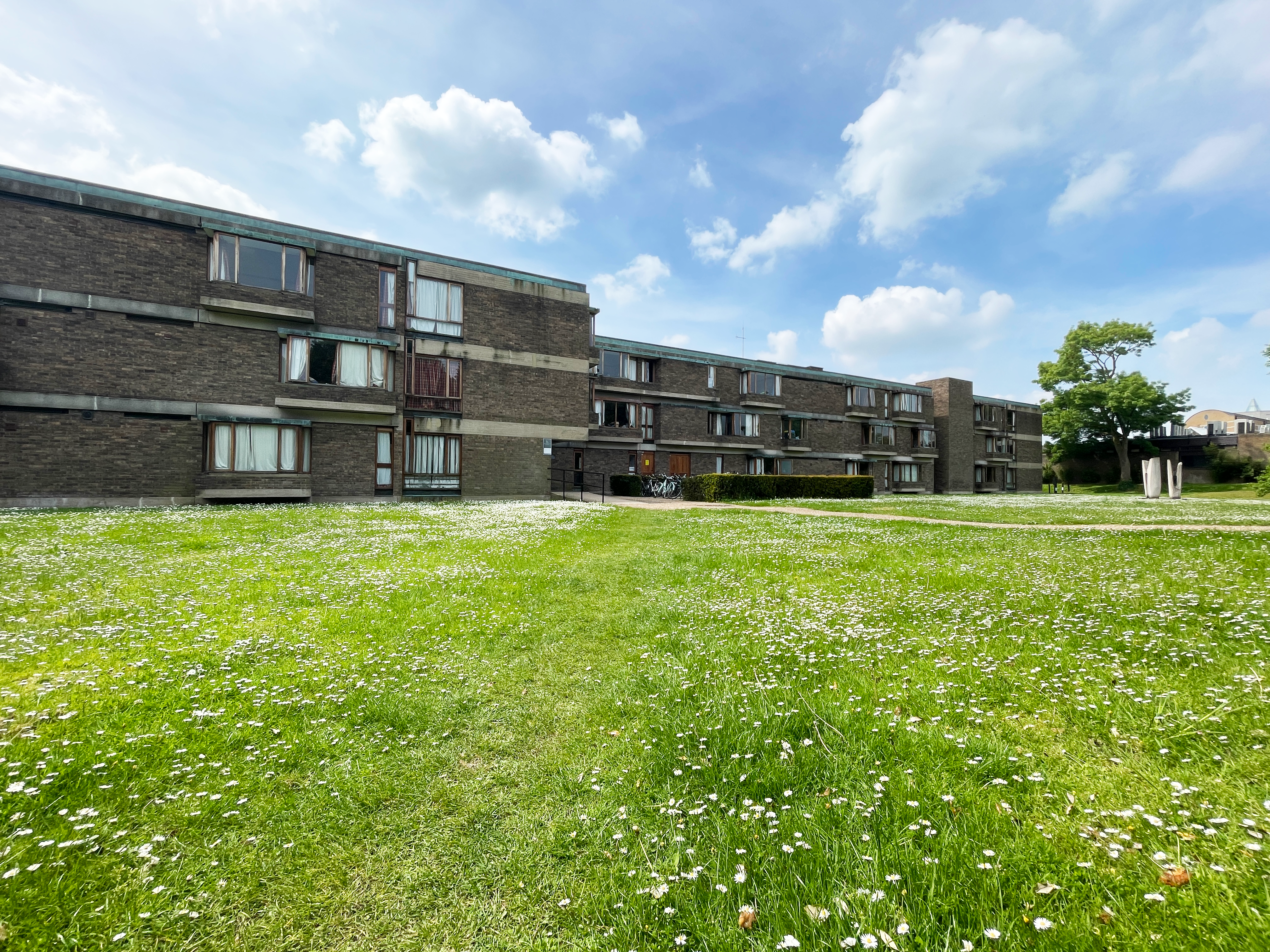 exterior of North Court at Churchill College showing a field of daisies