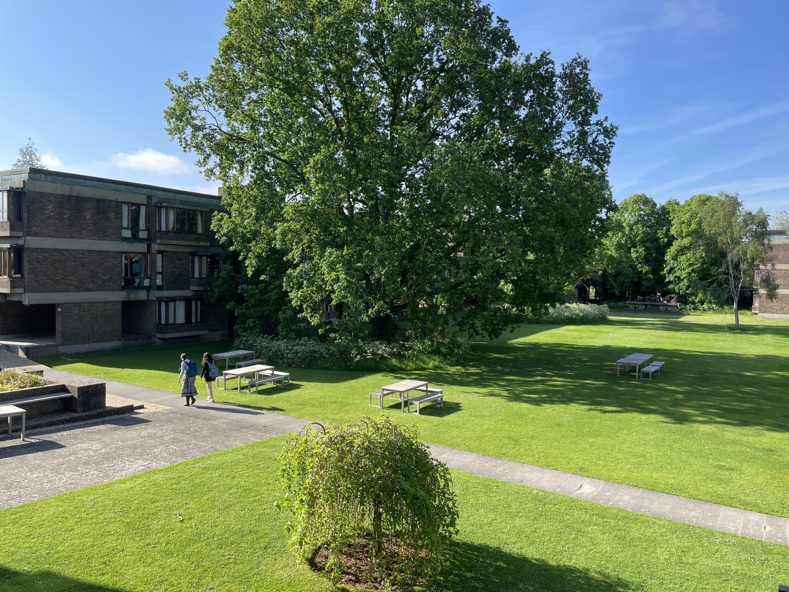 two students walking across the front lawn