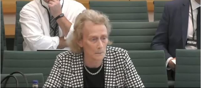 Professor Dame Athene Donald, with light shoulder-length hair, and a patterned jacket and necklace, is seated at a conference table. Behind her, several people in business attire are seated.