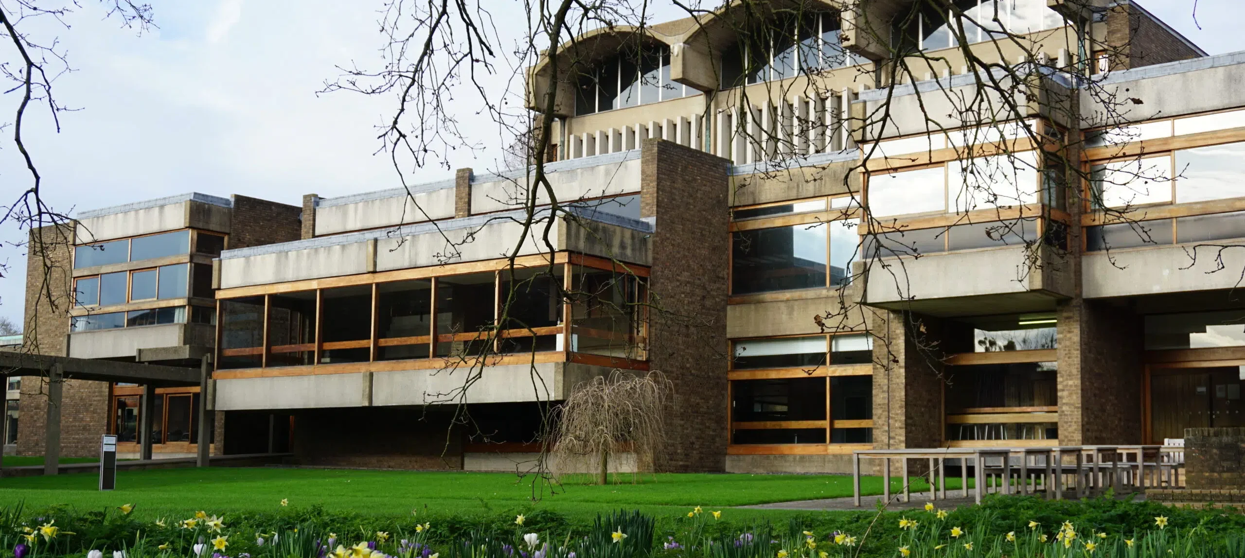 A modern university building with large windows and a brick facade is surrounded by green grass and spring flowers. Leafless tree branches hang in the foreground.